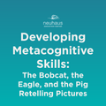Developing Metacognitive Skills: The Bobcat, the Eagle, and the Pig Retelling Pictures