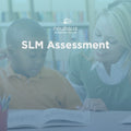 SLM Assessment